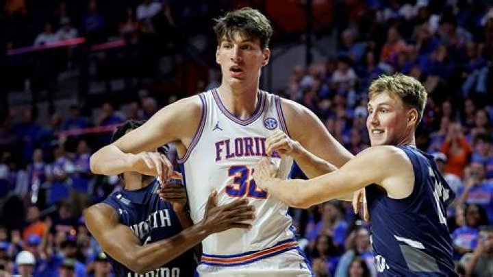 Brabo Gator Height, Weight, Net Worth, Age, Birthday, Wikipedia, Who, Instagram, Biography