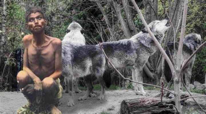 Is Dina Sanichar Dead or Alive? Feral Child and Williams Syndrome Of The Real Life Mowgli