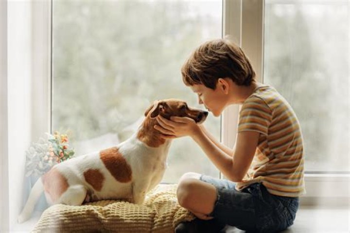 
Netizens melt as rescue dog holds new owner’s hand in heartwarming viral video 